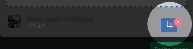Crop button after file selection